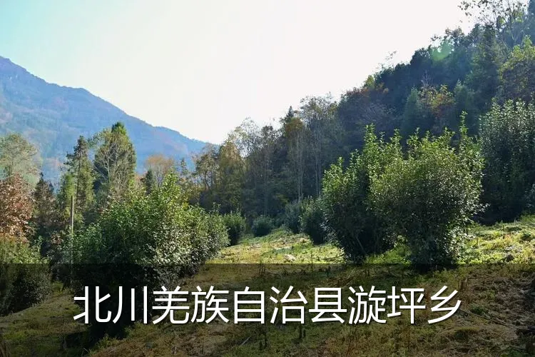 北川羌族自治县漩坪乡